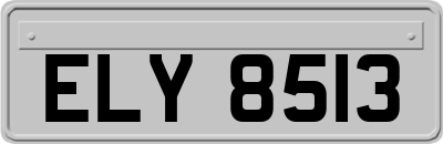 ELY8513