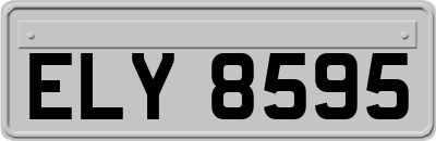 ELY8595