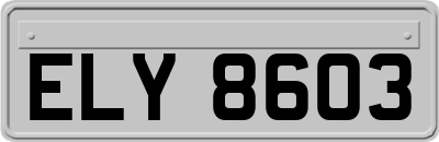 ELY8603