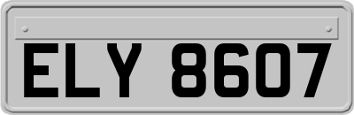 ELY8607