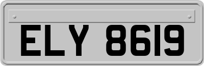 ELY8619