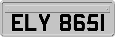 ELY8651