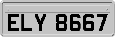 ELY8667