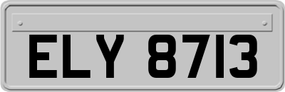 ELY8713