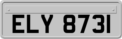 ELY8731