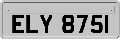 ELY8751