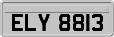 ELY8813