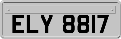 ELY8817