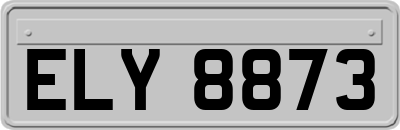 ELY8873