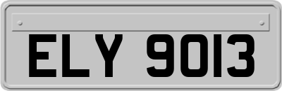 ELY9013