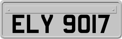 ELY9017