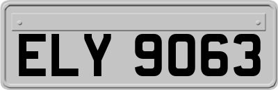 ELY9063