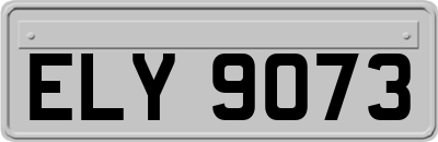 ELY9073