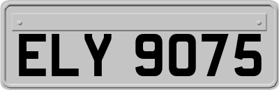 ELY9075