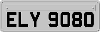 ELY9080