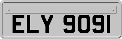 ELY9091