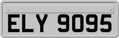ELY9095