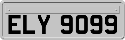 ELY9099
