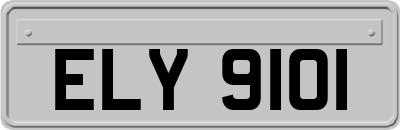 ELY9101