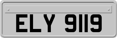 ELY9119