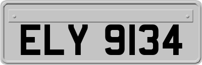 ELY9134