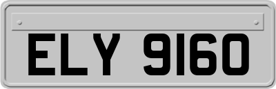 ELY9160