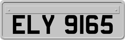 ELY9165