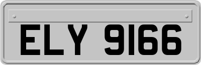 ELY9166