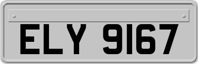 ELY9167