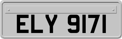 ELY9171