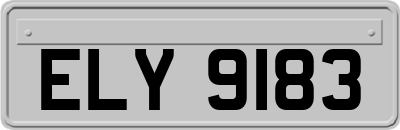 ELY9183