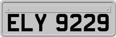 ELY9229