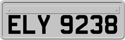 ELY9238