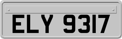 ELY9317