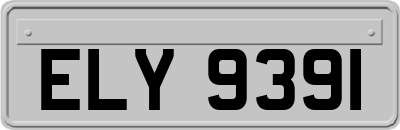 ELY9391