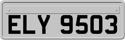 ELY9503