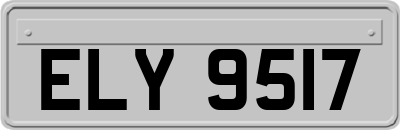 ELY9517