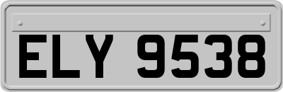 ELY9538
