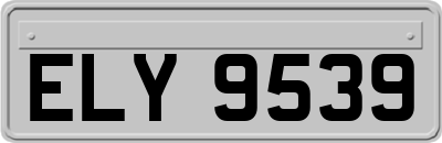 ELY9539