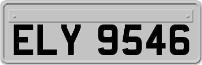 ELY9546