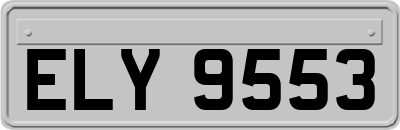 ELY9553
