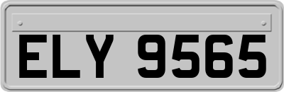 ELY9565
