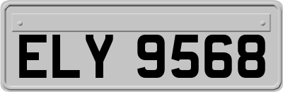 ELY9568