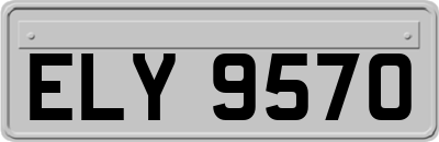 ELY9570