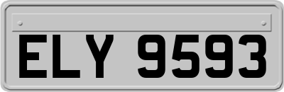 ELY9593