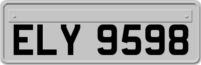 ELY9598