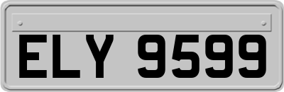 ELY9599