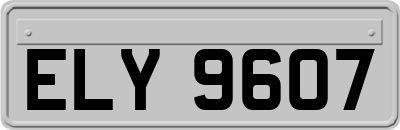 ELY9607