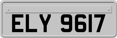 ELY9617