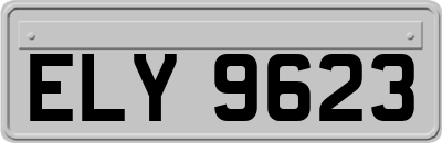 ELY9623